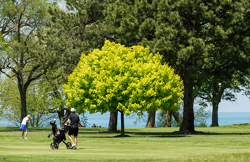 Golf : Niagara-on-the-Lake